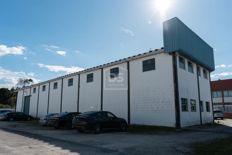 Negócio para Venda em Batalha Foto 3