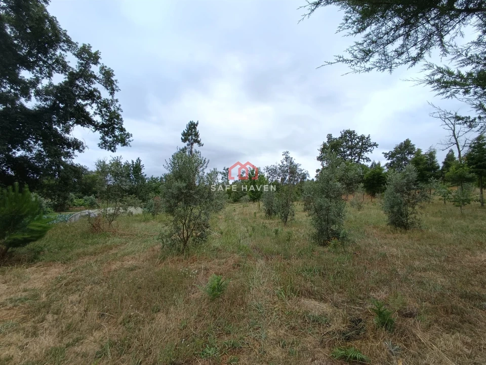 Quinta T0 para Venda em Cunha Baixa Foto 9