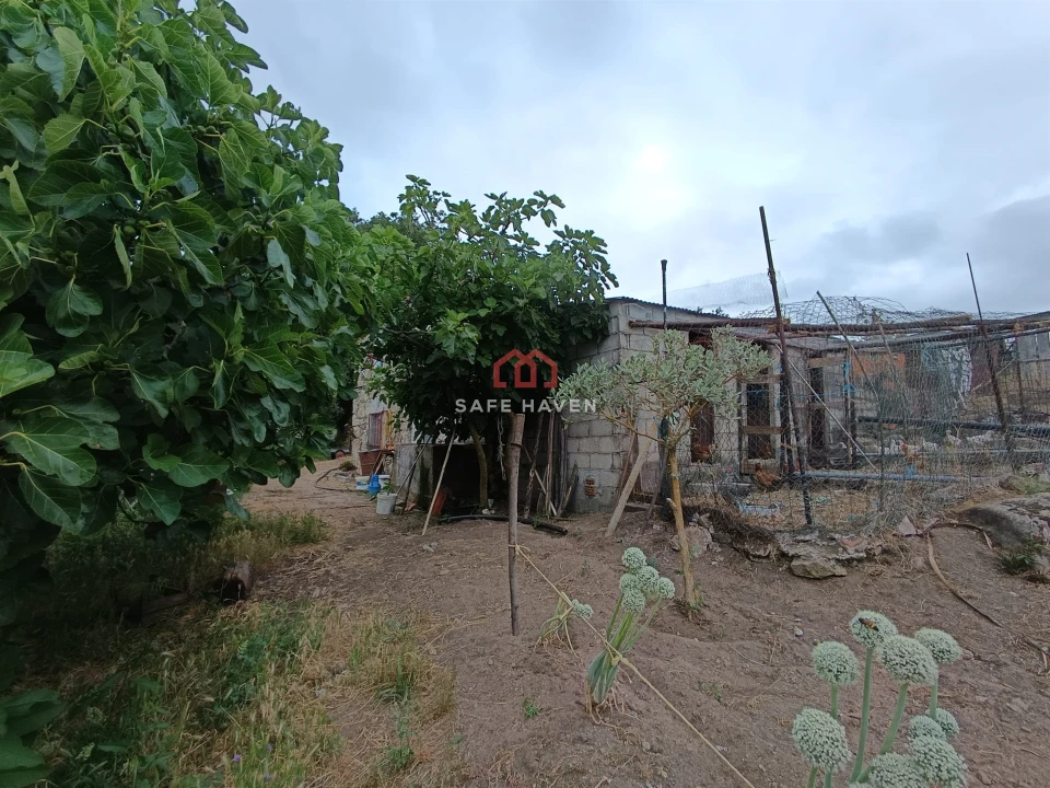 Quinta T0 para Venda em Cunha Baixa Foto 12