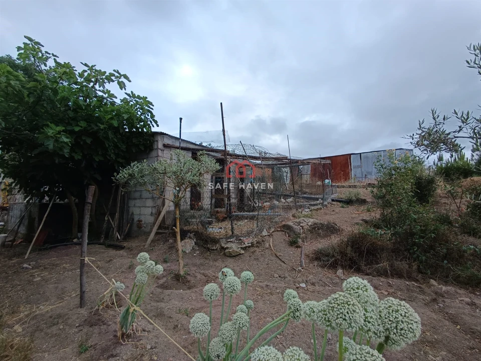 Quinta T0 para Venda em Cunha Baixa Foto 11