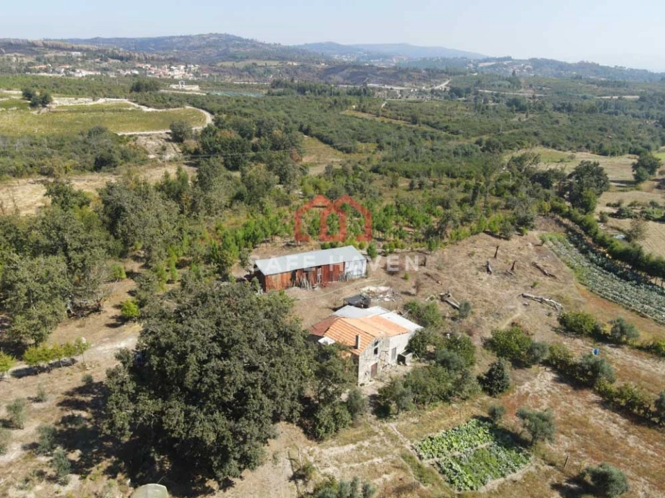 Quinta T0 para Venda em Cunha Baixa Foto 4