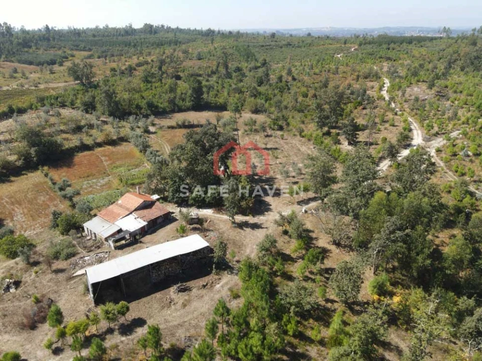 Quinta T0 para Venda em Cunha Baixa Foto 1