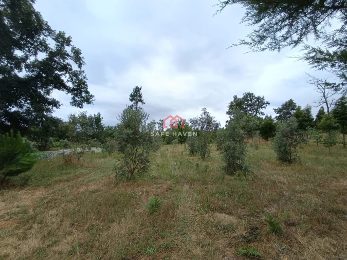 Quinta T0 para Venda em Cunha Baixa Foto 9