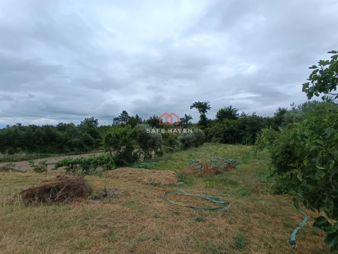 Quinta T0 para Venda em Cunha Baixa Foto 13
