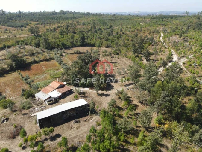 Quinta T0 para Venda em Cunha Baixa