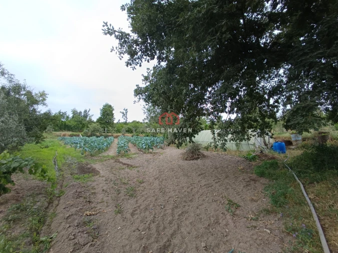 Quinta T0 para Venda em Cunha Baixa Foto 10