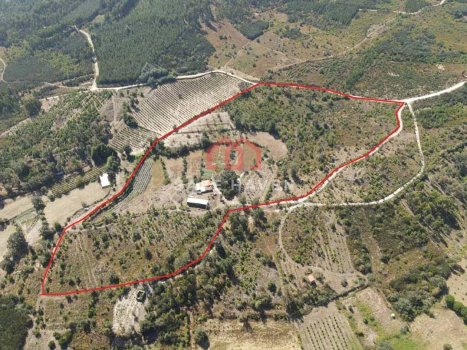 Quinta T0 para Venda em Cunha Baixa Foto 2