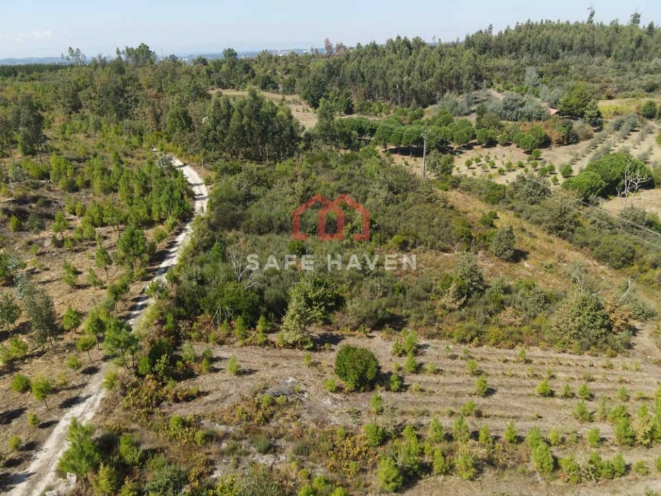 Quinta T0 para Venda em Cunha Baixa Foto 8