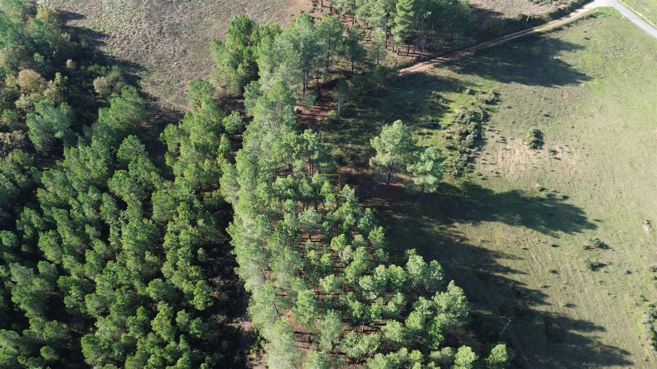 Terreno Agricola ou Rústico para Venda em Casteleiro Foto 21