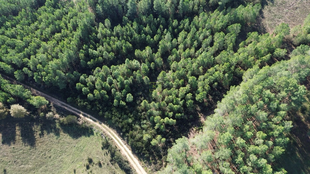 Terreno Agricola ou Rústico para Venda em Casteleiro Foto 22