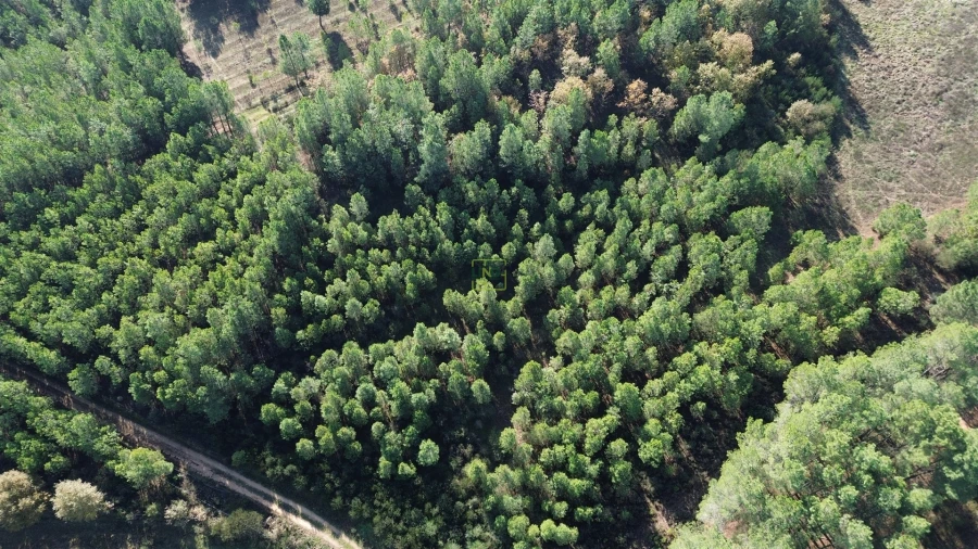 Terreno Agricola ou Rústico para Venda em Casteleiro Foto 26