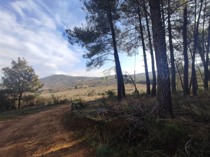 Terreno Agricola ou Rústico para Venda em Casteleiro Foto 17