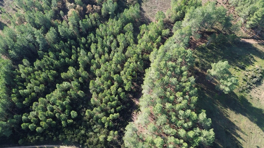 Terreno Agricola ou Rústico para Venda em Casteleiro Foto 24