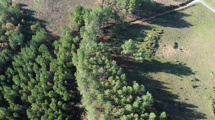 Terreno Agricola ou Rústico para Venda em Casteleiro Foto 21