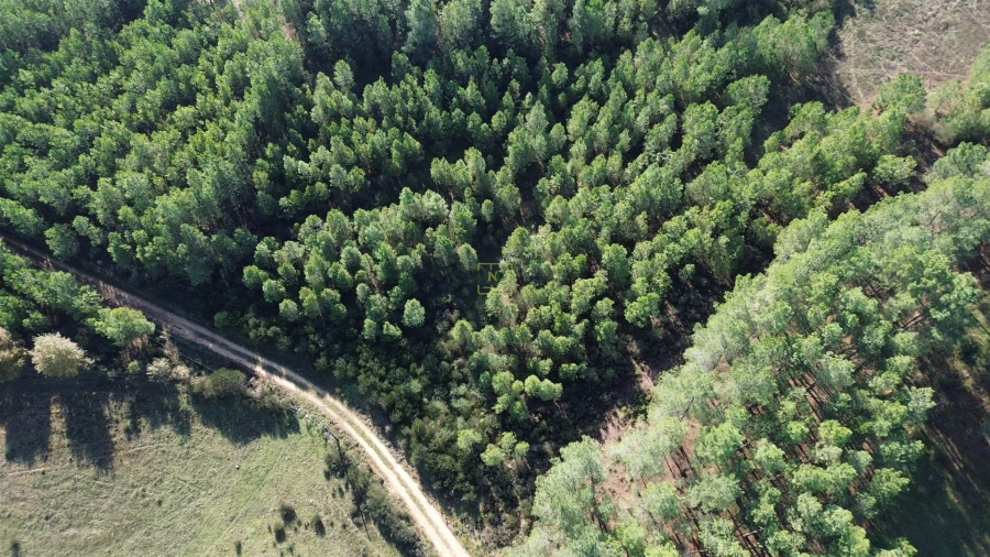 Terreno Agricola ou Rústico para Venda em Casteleiro Foto 22