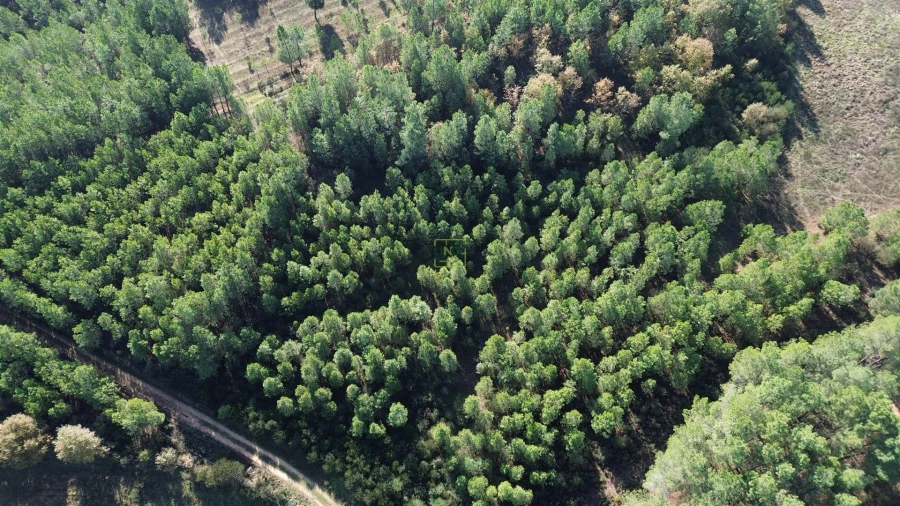 Terreno Agricola ou Rústico para Venda em Casteleiro Foto 25