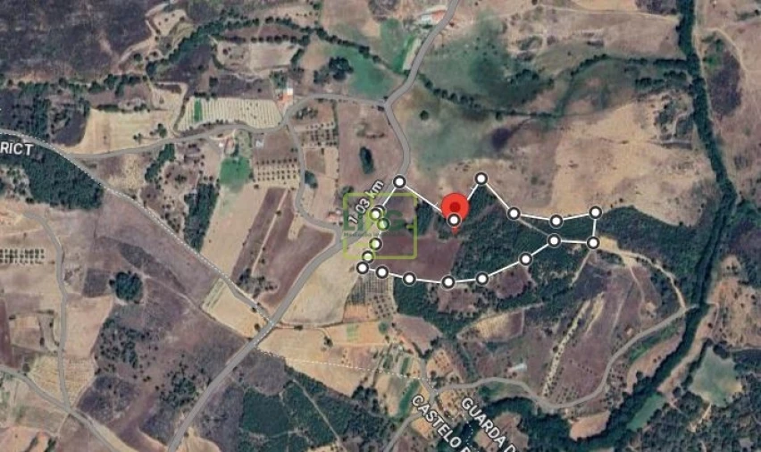 Terreno Agricola ou Rústico para Venda em Casteleiro Foto 29