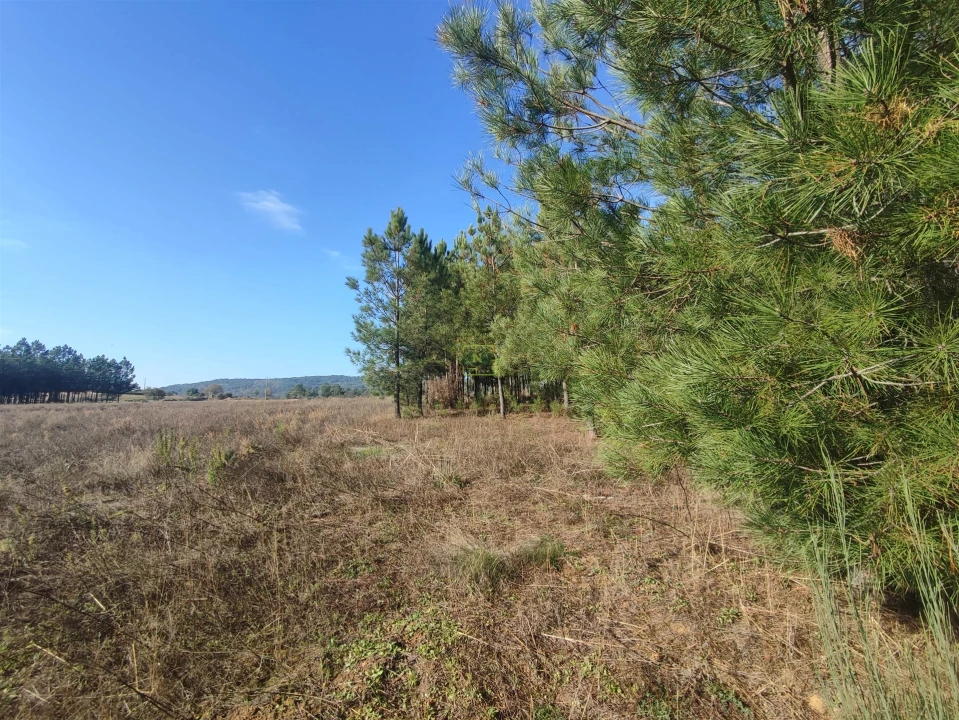 Terreno Agricola ou Rústico para Venda em Casteleiro Foto 4