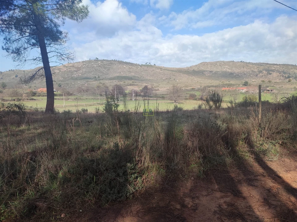 Terreno Agricola ou Rústico para Venda em Casteleiro Foto 27