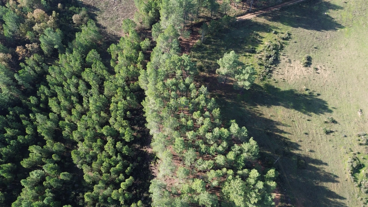 Terreno Agricola ou Rústico para Venda em Casteleiro Foto 23