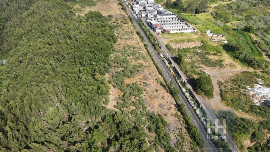 Terreno Comércio / Armazém para Venda em Santo Antonio da Serra Foto 10