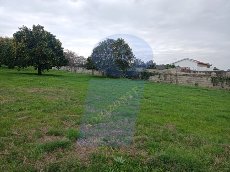 Terreno para Venda em Amoreira da Gândara, Paredes do Bairro e Ancas Foto 4