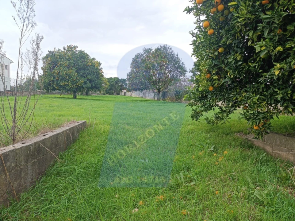 Terreno para Venda em Amoreira da Gândara, Paredes do Bairro e Ancas Foto 1