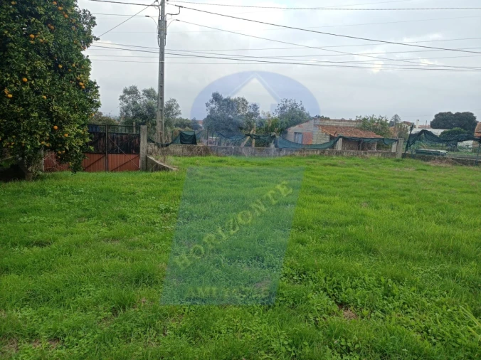Terreno para Venda em Amoreira da Gândara, Paredes do Bairro e Ancas Foto 3