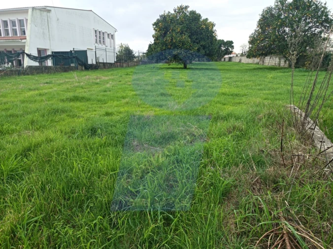 Terreno para Venda em Amoreira da Gândara, Paredes do Bairro e Ancas Foto 5