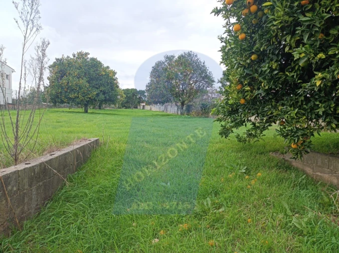 Terreno para Venda em Amoreira da Gândara, Paredes do Bairro e Ancas Foto 1