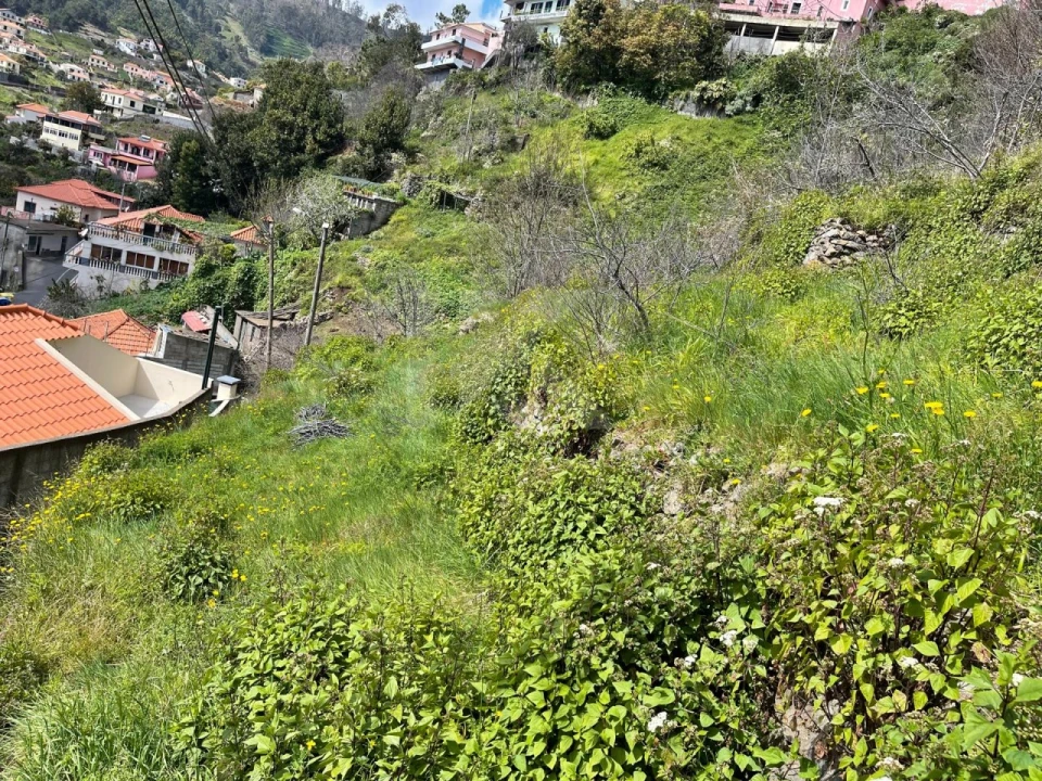 Terreno para Venda em Estreito de Camara de Lobos Foto 1
