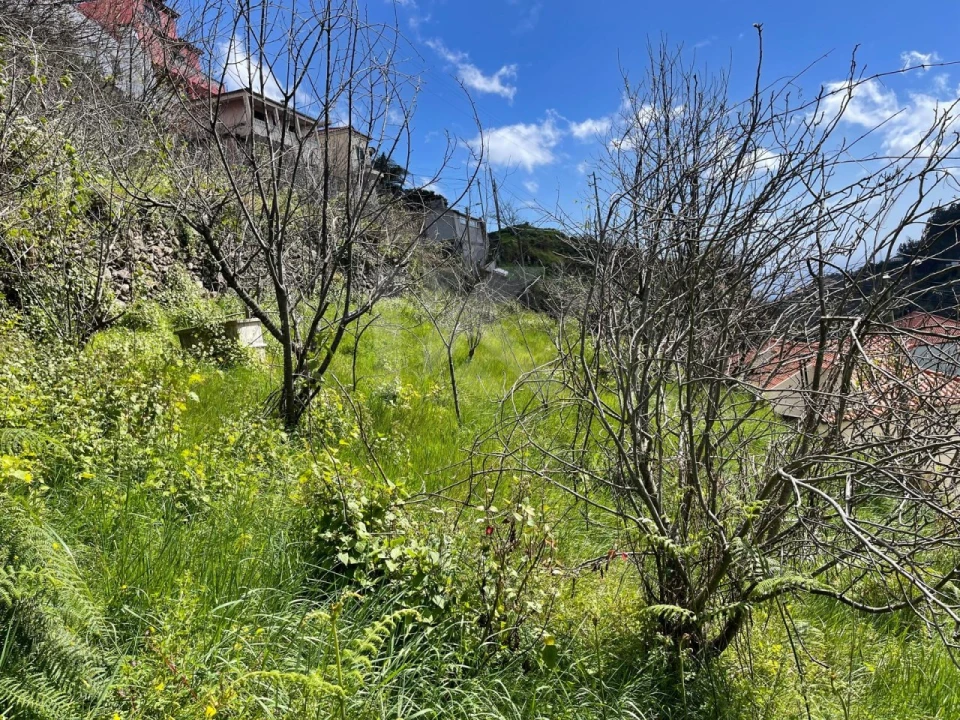 Terreno para Venda em Estreito de Camara de Lobos Foto 4
