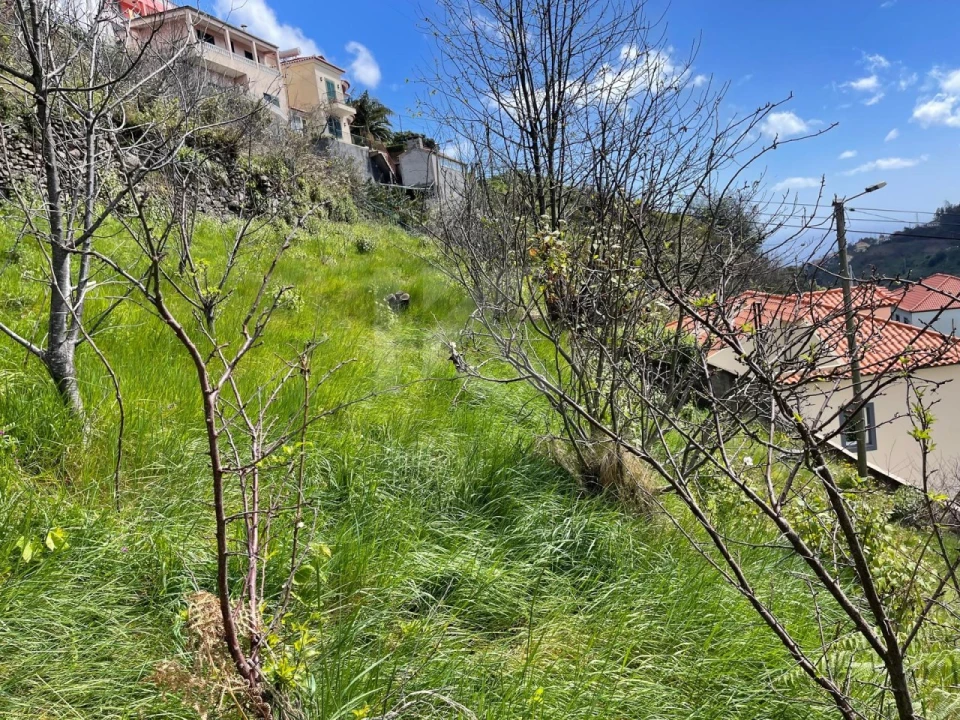 Terreno para Venda em Estreito de Camara de Lobos Foto 6
