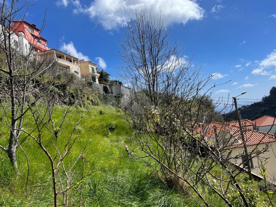 Terreno para Venda em Estreito de Camara de Lobos Foto 10