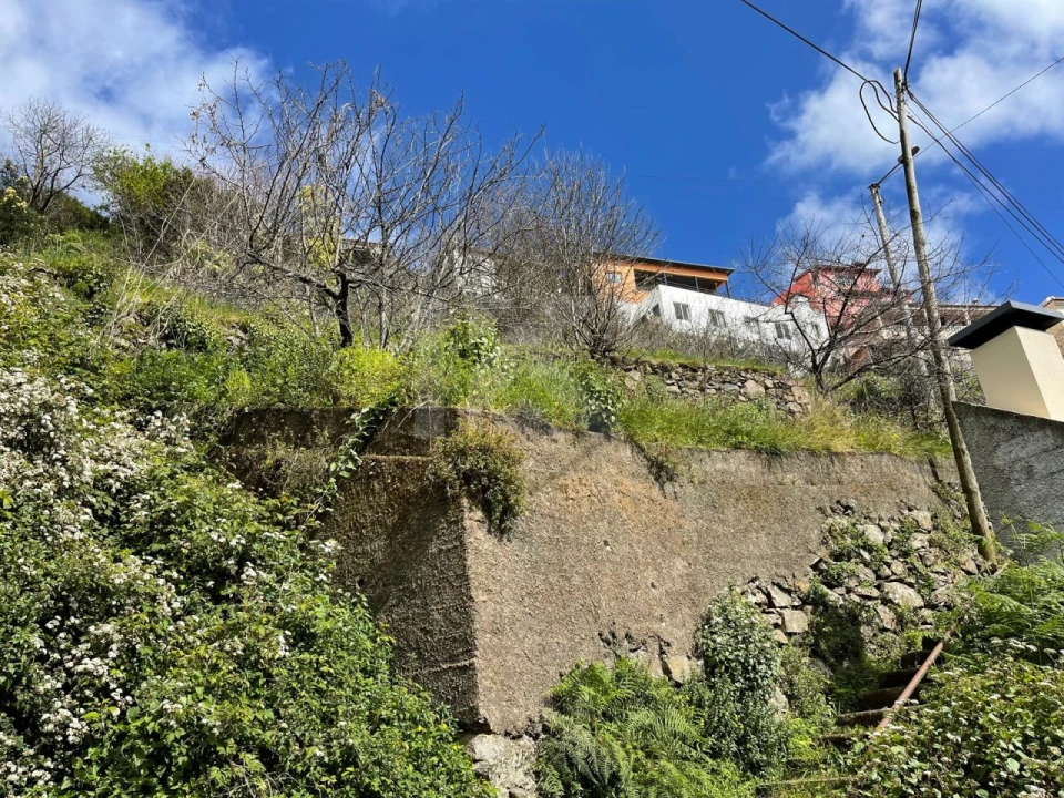 Terreno para Venda em Estreito de Camara de Lobos Foto 14