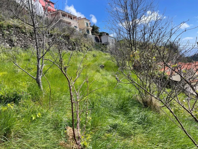 Terreno para Venda em Estreito de Camara de Lobos Foto 8