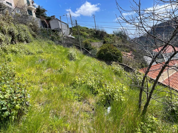 Terreno para Venda em Estreito de Camara de Lobos Foto 13