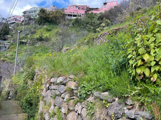 Terreno para Venda em Estreito de Camara de Lobos Foto 15