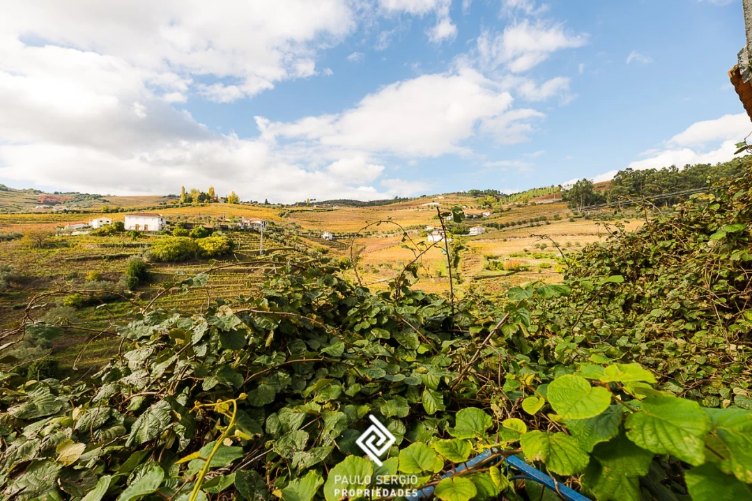 Quinta T3 para Venda em Lobrigos (São Miguel e São João Baptista) e Sanhoane Foto 22