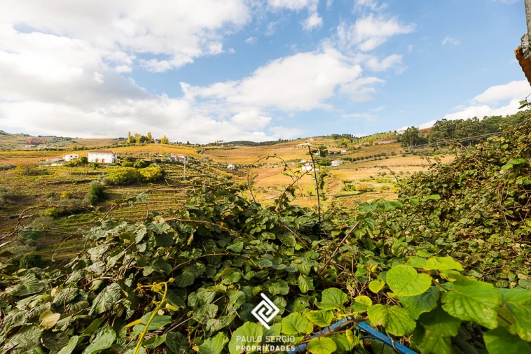 Quinta T3 para Venda em Lobrigos (São Miguel e São João Baptista) e Sanhoane Foto 22
