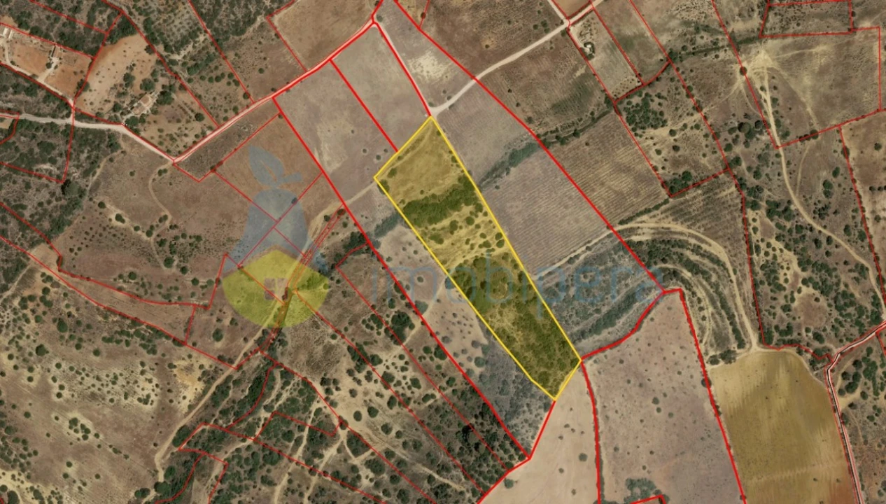 Terreno Agricola ou Rústico para Venda em Alcantarilha e Pêra Foto 1