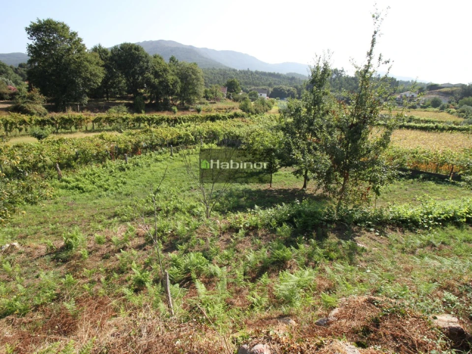 Terreno para Venda em Estorãos Foto 5