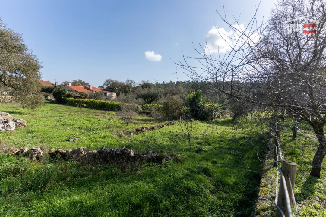 Terreno para Venda em São Mamede Foto 6
