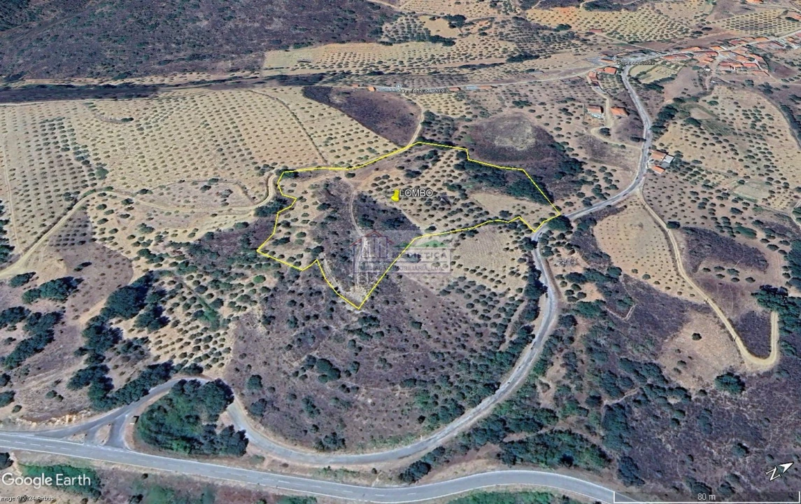 Quinta para Venda em Alfandega da Fe Foto 8