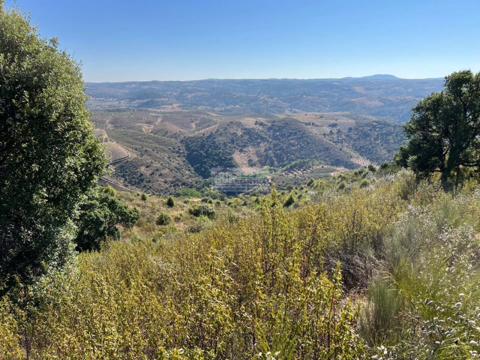 Quinta para Venda em Alfandega da Fe Foto 5