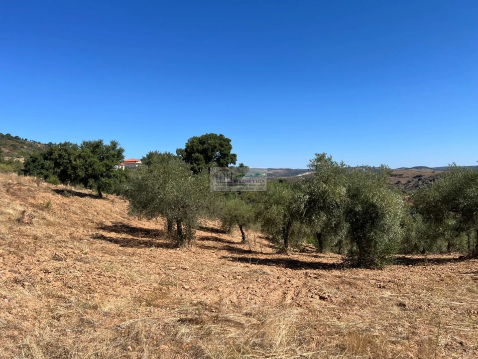 Quinta para Venda em Alfandega da Fe Foto 9