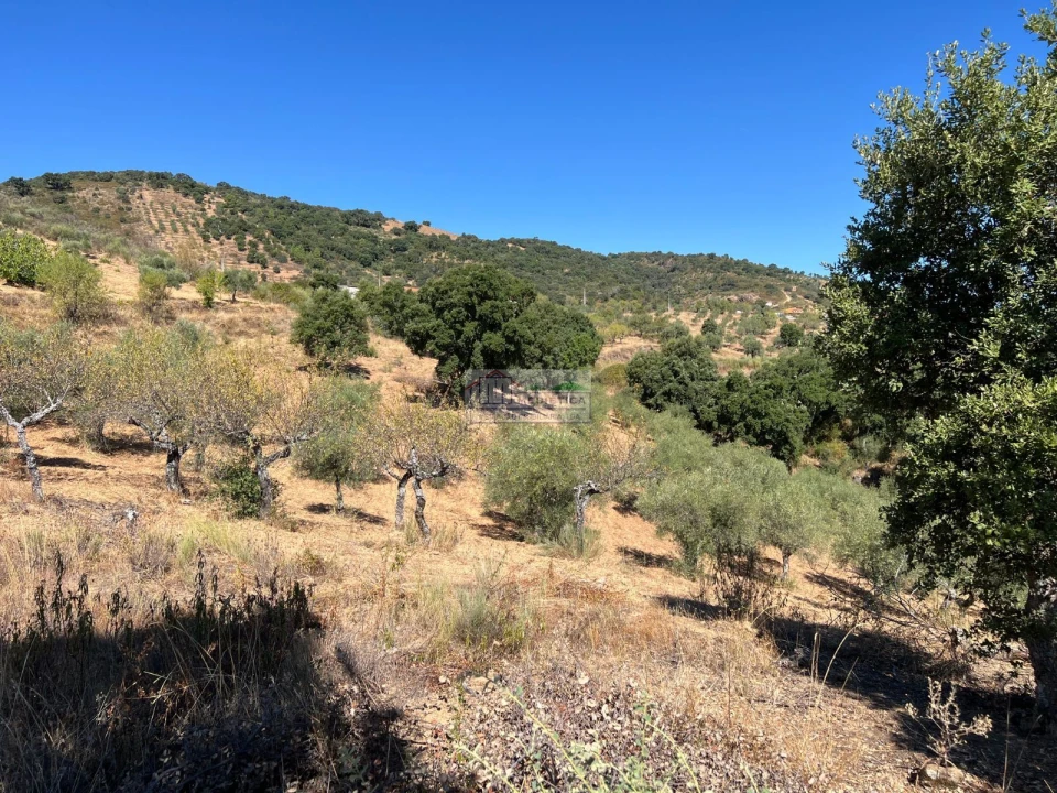 Quinta para Venda em Alfandega da Fe Foto 11