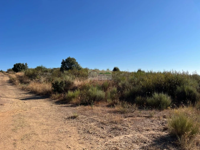 Quinta para Venda em Alfandega da Fe Foto 2