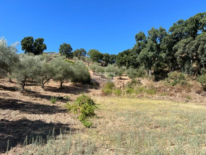 Quinta para Venda em Alfandega da Fe Foto 12