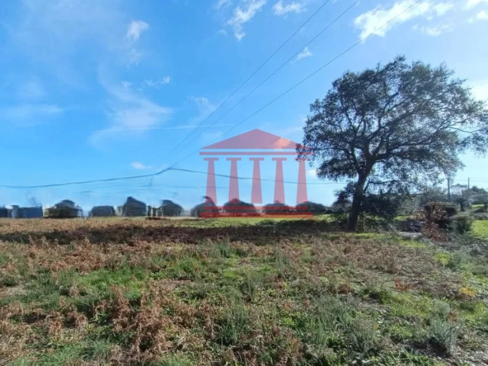Terreno para Venda em Alheira e Igreja Nova Foto 4